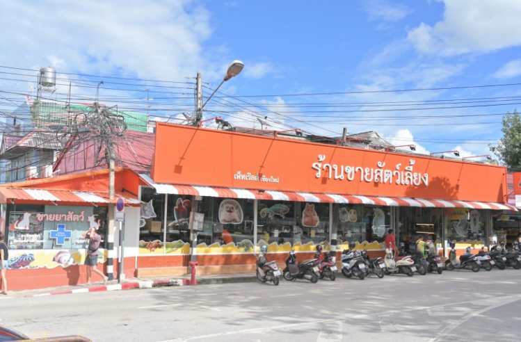 ร้าน ขาย หนู แฮม เตอร์ ใกล้ ฉัน